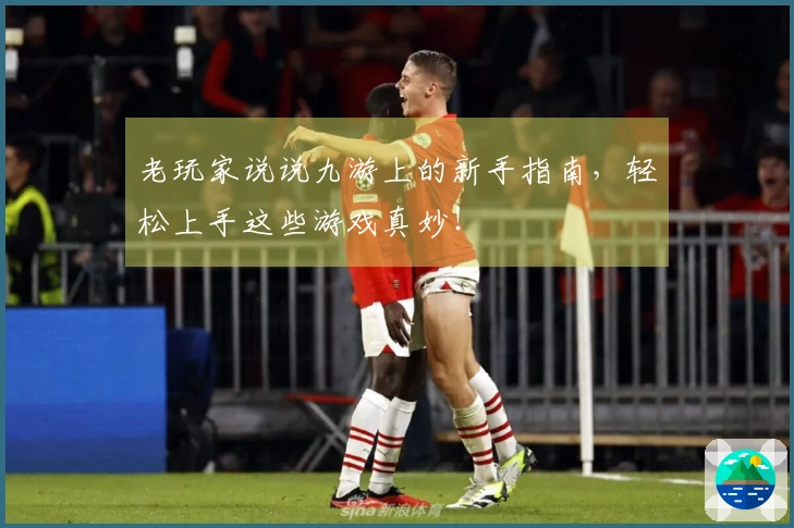 老玩家说说九游上的新手指南，轻松上手这些游戏真妙！